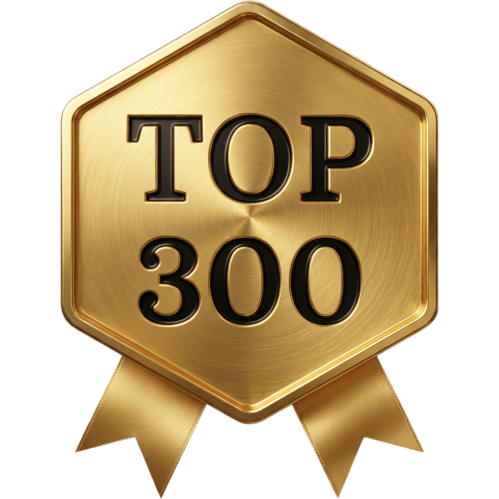 Топ 300