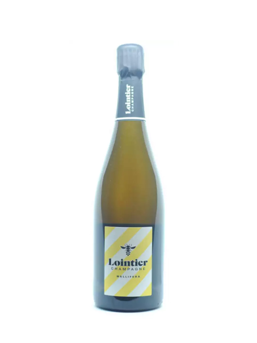 Игристое вино "LOINTIER" Mellifera Extra Brut 0.75 л - фото 2