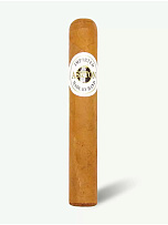 Сигары Ashton Classic Magnum Robusto - фото