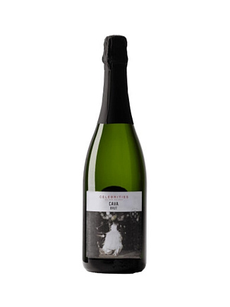 Игристое вино Bodegas San Valero, "Celebrities" Cava Brut DO