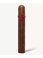 Сигары Nicarao Furia Megaera Toro - фото