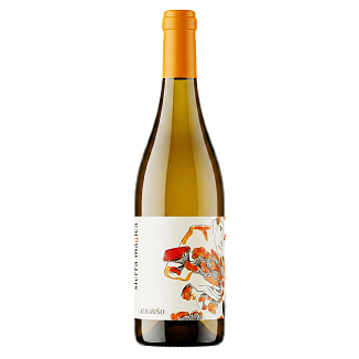 Вино Sierra Mágica Albariño, DO Rías Baixas