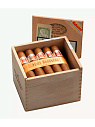 Сигары Hoyo de Monterrey Petit Robusto - фото 2