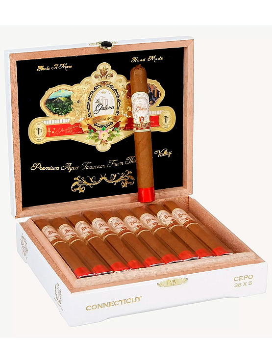 Сигары La Galera Connecticut Chaveta Robusto - фото 5