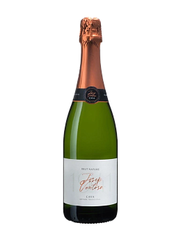 Вино игристое Josep Ventosa Cava Brut Nature - фото