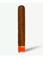 Сигары Cain Daytona Robusto - фото