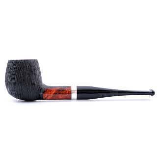 Barontini Eva-08
