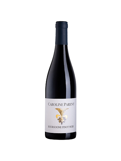 Вино Caroline Parent Bourgogne Hautes-Cotes de Nuits AOC 0.75 л - фото