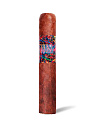 Сигары La Instructora Perfection Short Robusto - фото 1