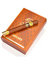 Сигары Trinidad Cabildos Limited Edition 2024 - фото 2