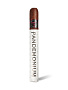 Сигары Asylum 13 Pandemonium 52 x 8 ½