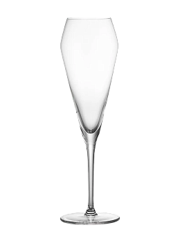 Набор бокалов для вина Spiegelau Willsberger Anniversary Champagne, 240 мл - фото
