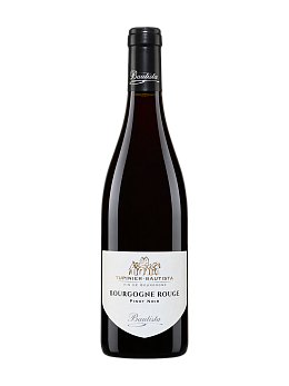 Вино Tupinier-Bautista Bourgogne Pinot Noir AOC - фото