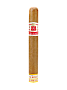 Сигары Hoyo De Monterrey Le Hoyo De San Luis
