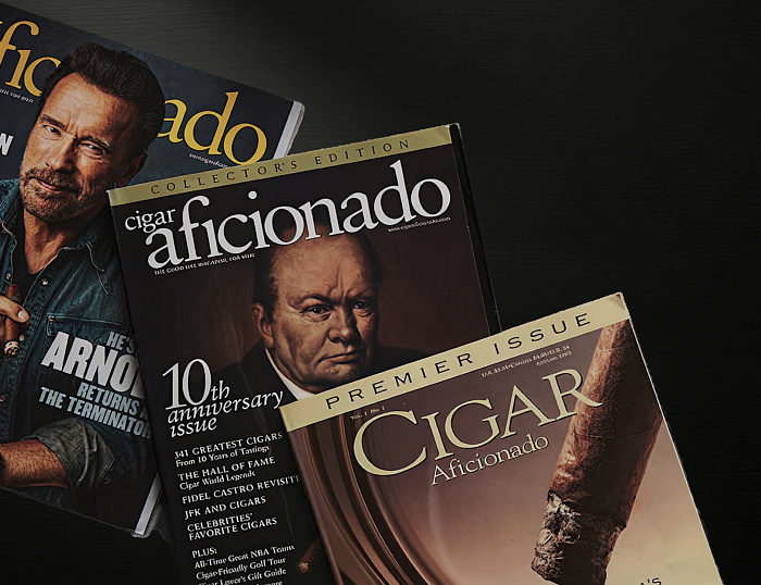 Сигары Top Aficionado - фото