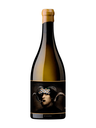 TERLEGIZ DO Bizkaiko Txakolina 2021 0.75 л - фото