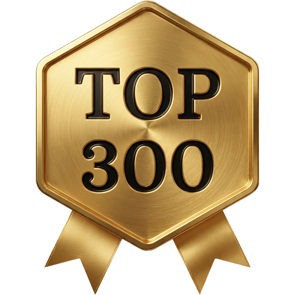 Топ 300