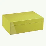 Хьюмидор Morici Roma Collection Pistachio - фото