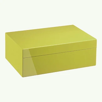 Хьюмидор Morici Roma Collection Pistachio
